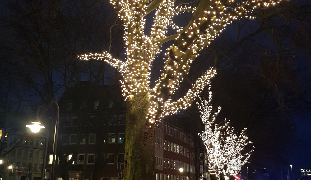 © (c) SMSV | 7. Baum Lichterketten2 News | 