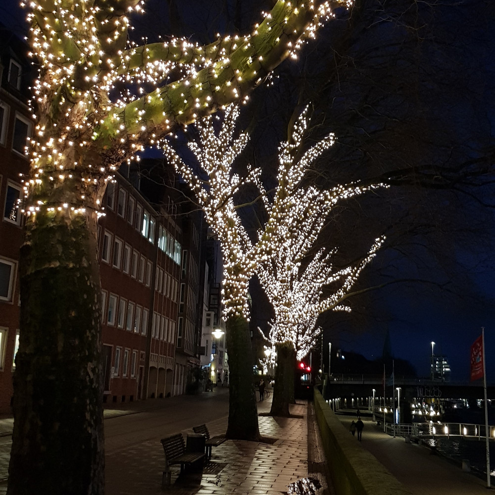© ©SMSV | Lichterketten Baeume 2 | 