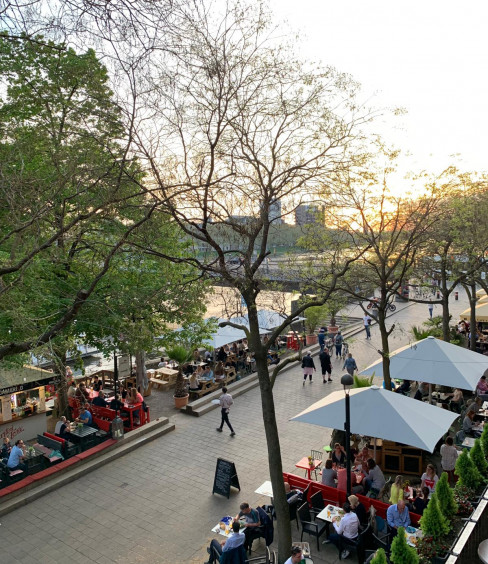 Blick ausKangaRooms